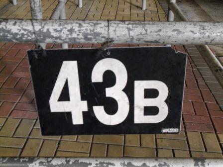 SDC10464.JPG