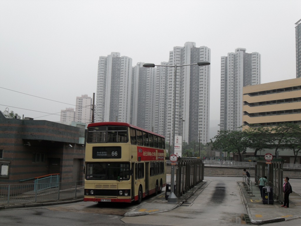 SDC10587.JPG