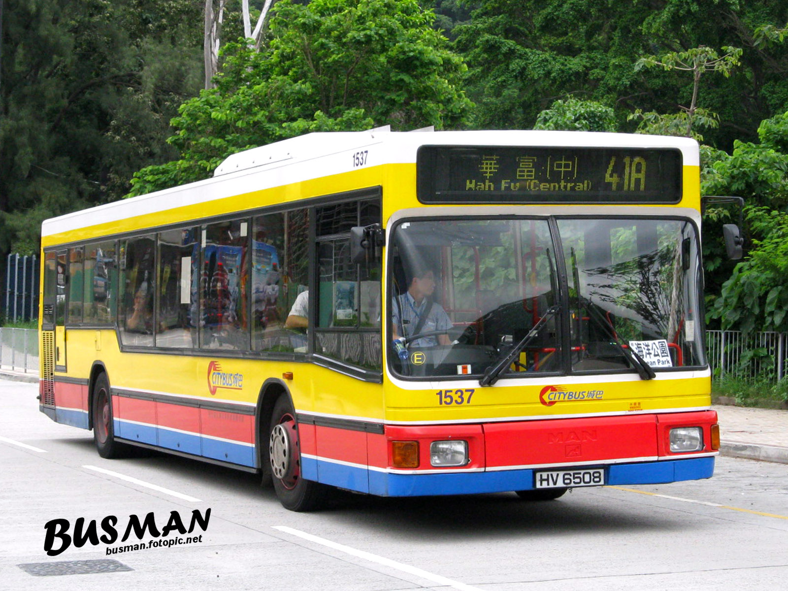 1537-d-41a.jpg