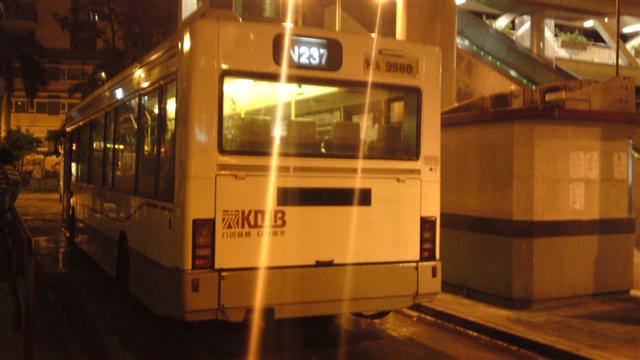 HA9560.JPG
