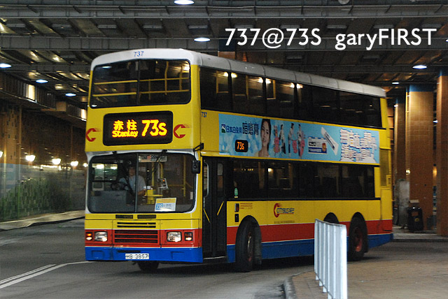 737.jpg