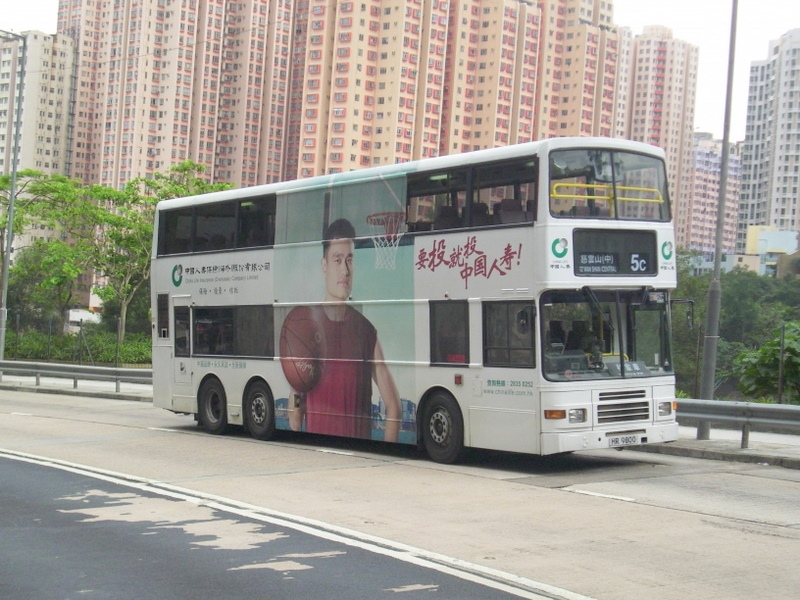 p8620154.jpg