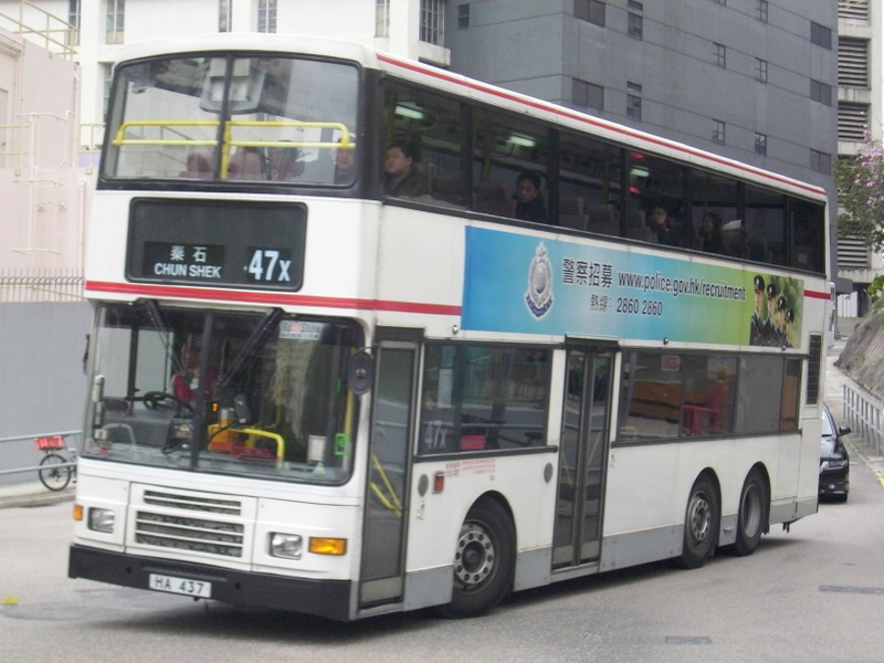 p8580131.jpg