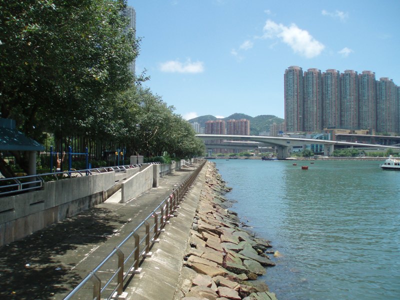 P6222721.JPG