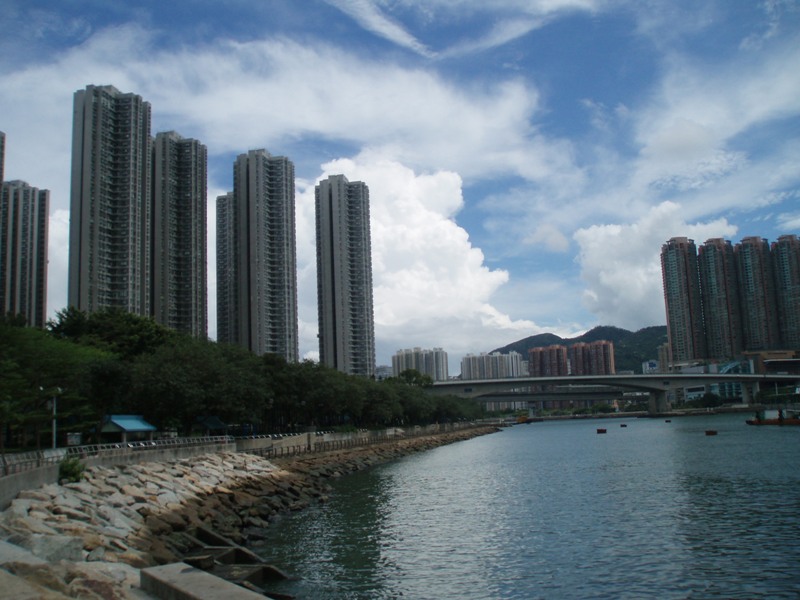 P6232729.JPG