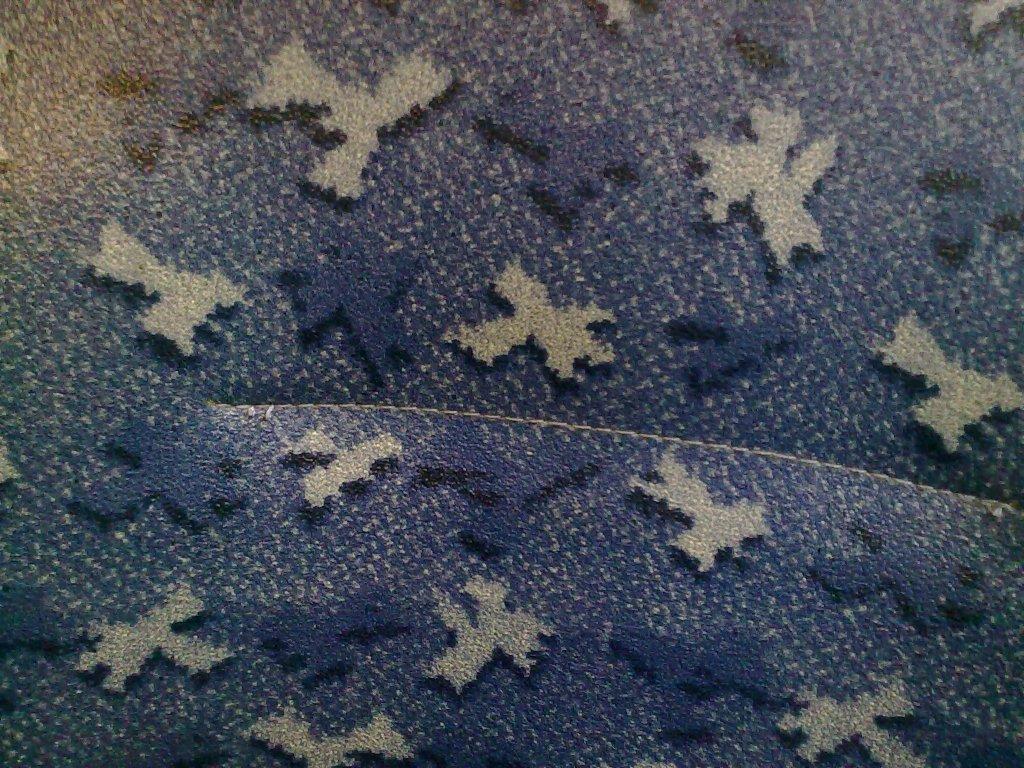 20100215262.jpg