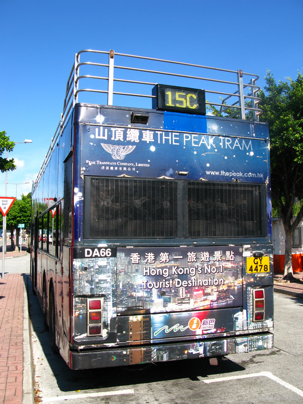 IMG_6175.jpg