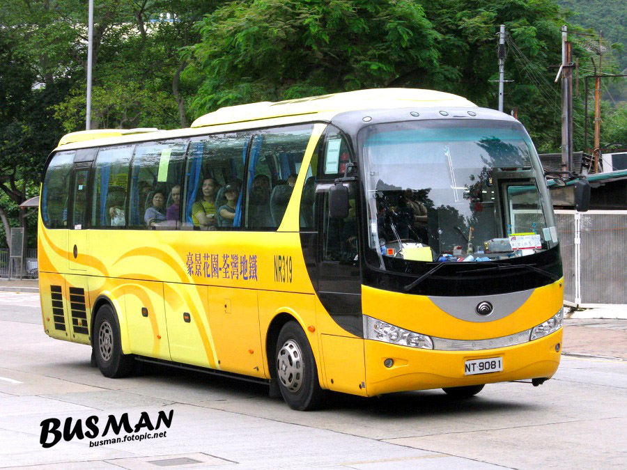 NT9081-b.jpg