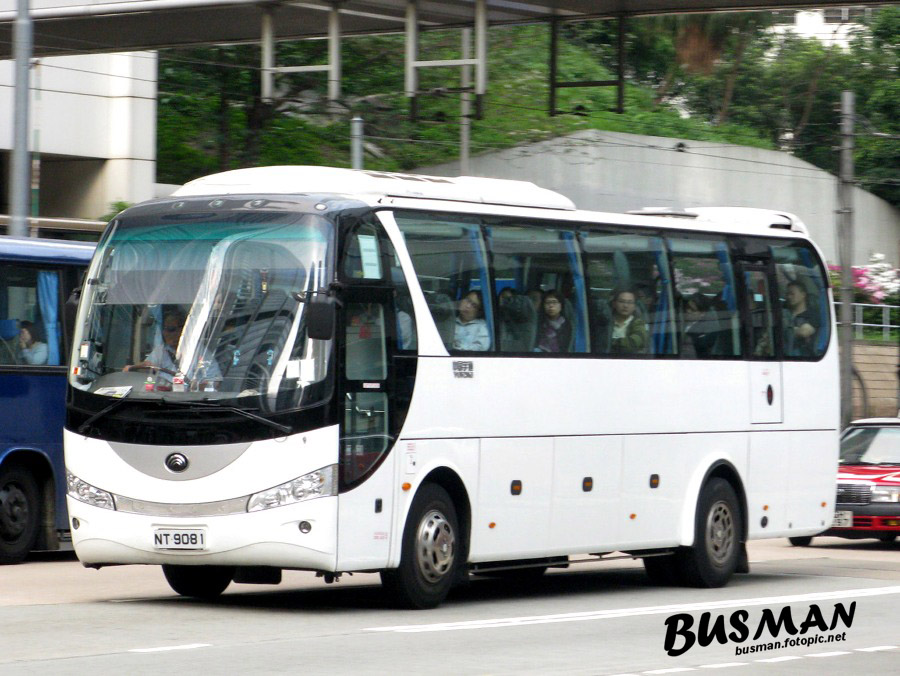 NT9081-a.jpg