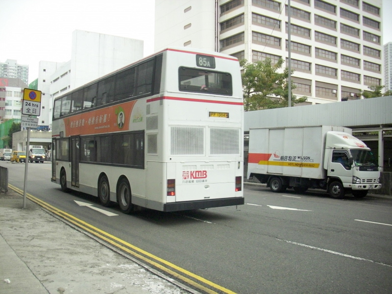 p8580028.jpg
