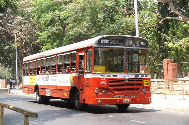 PICT8481.JPG