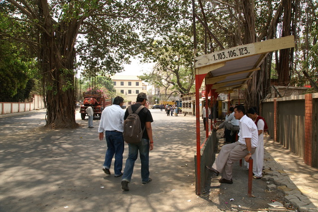 PICT8497.JPG