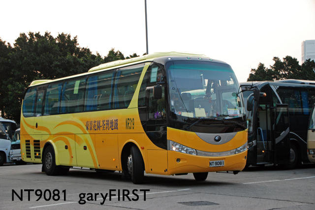 nt9081-2.jpg