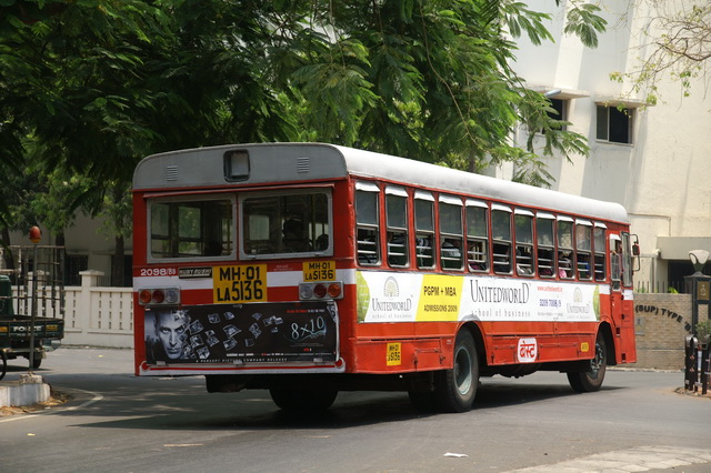 PICT8482.JPG