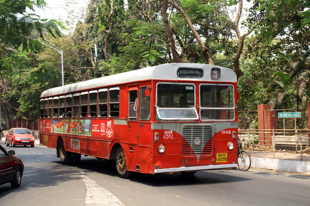 PICT8483.jpg