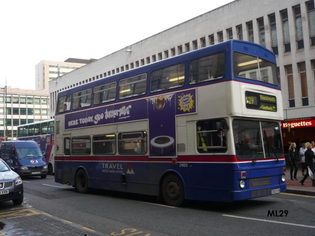 2903.jpg