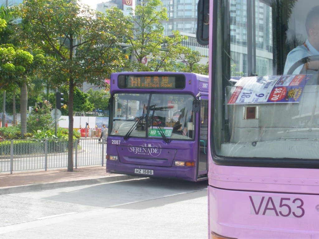 IMGP7829.JPG