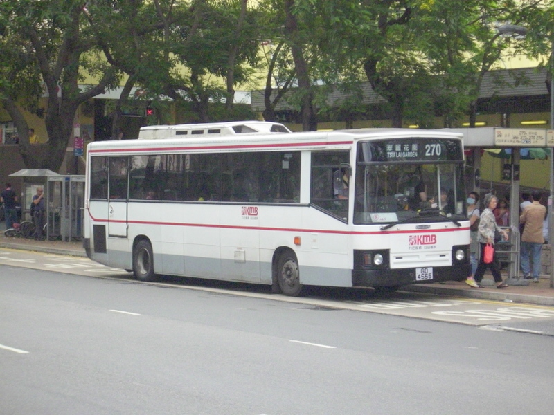 p8600106.jpg