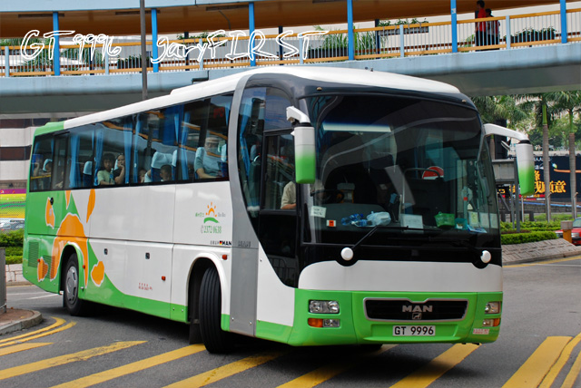 gt9996-2.jpg