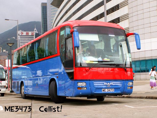 me3473-3.jpg