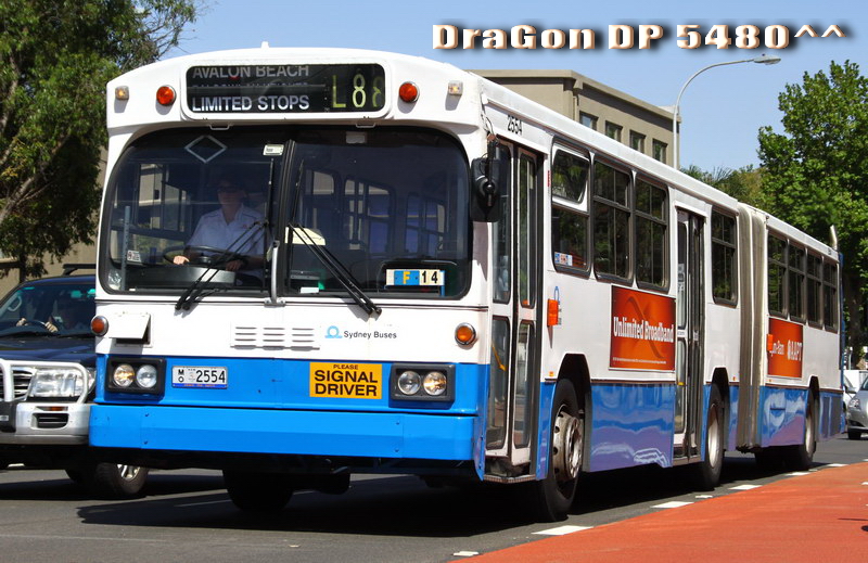 MO2554-L88-GG.jpg