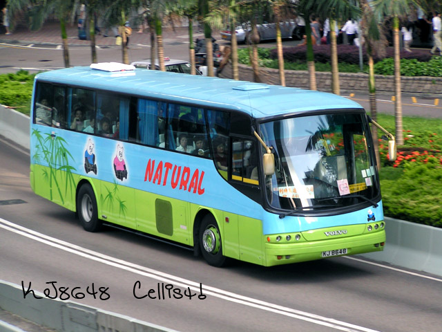 kj8648-2.jpg