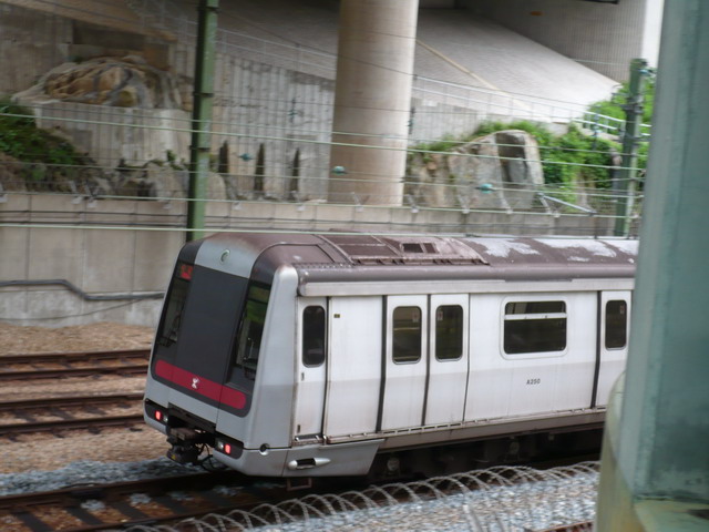 P10203651.jpg