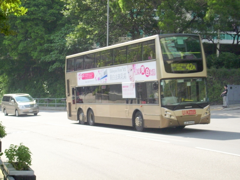 p8630454.jpg