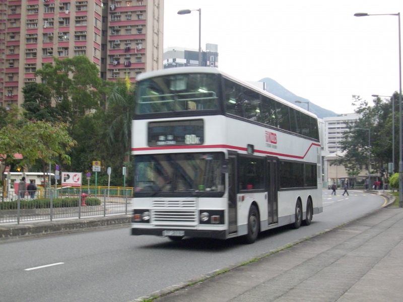 p8590004.jpg