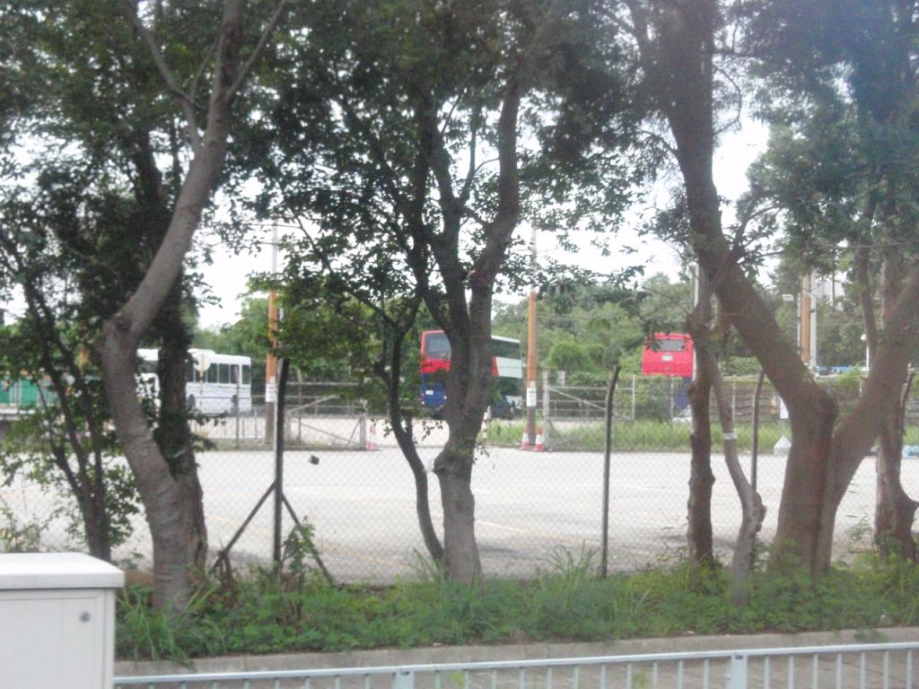 P7300354.JPG