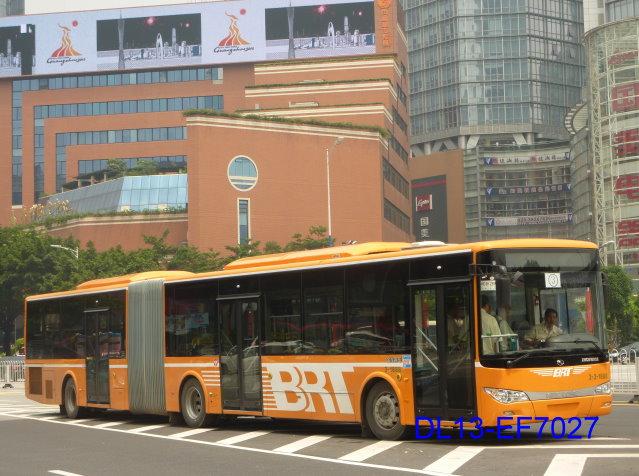 P1550063.JPG