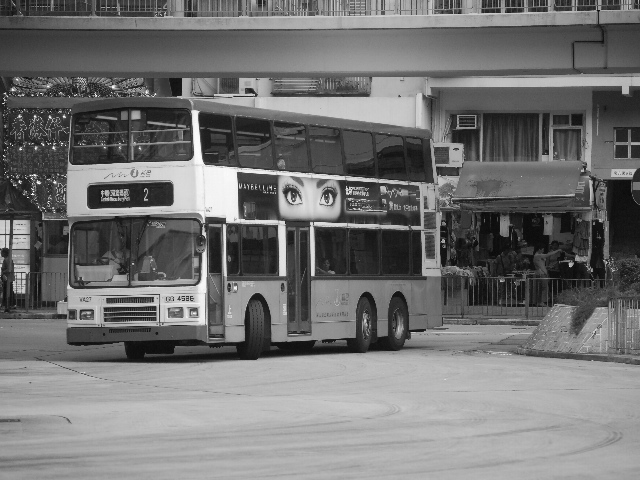 20100708 038.jpg