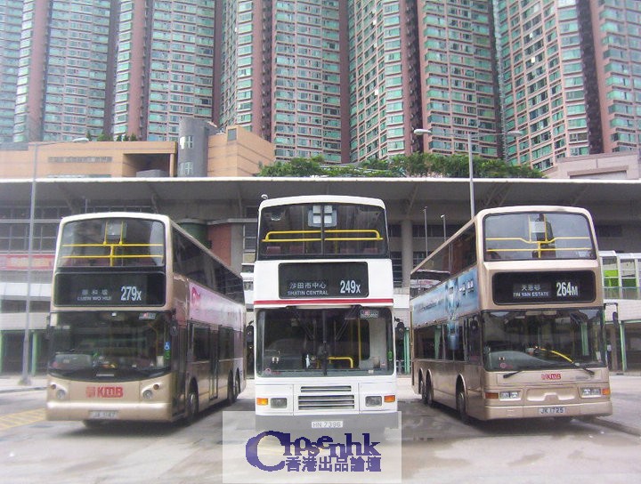 279X+249X+264M.jpg