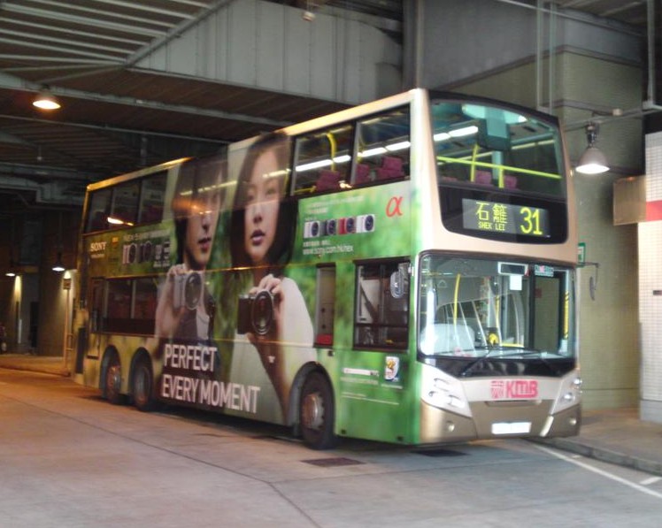 20100803437 (Large).JPG