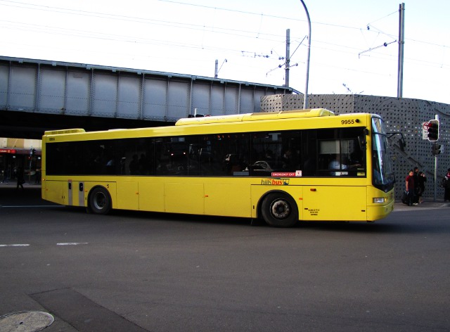 9955-1.JPG