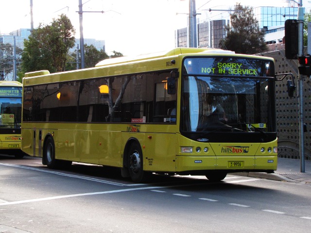 9956-1.JPG