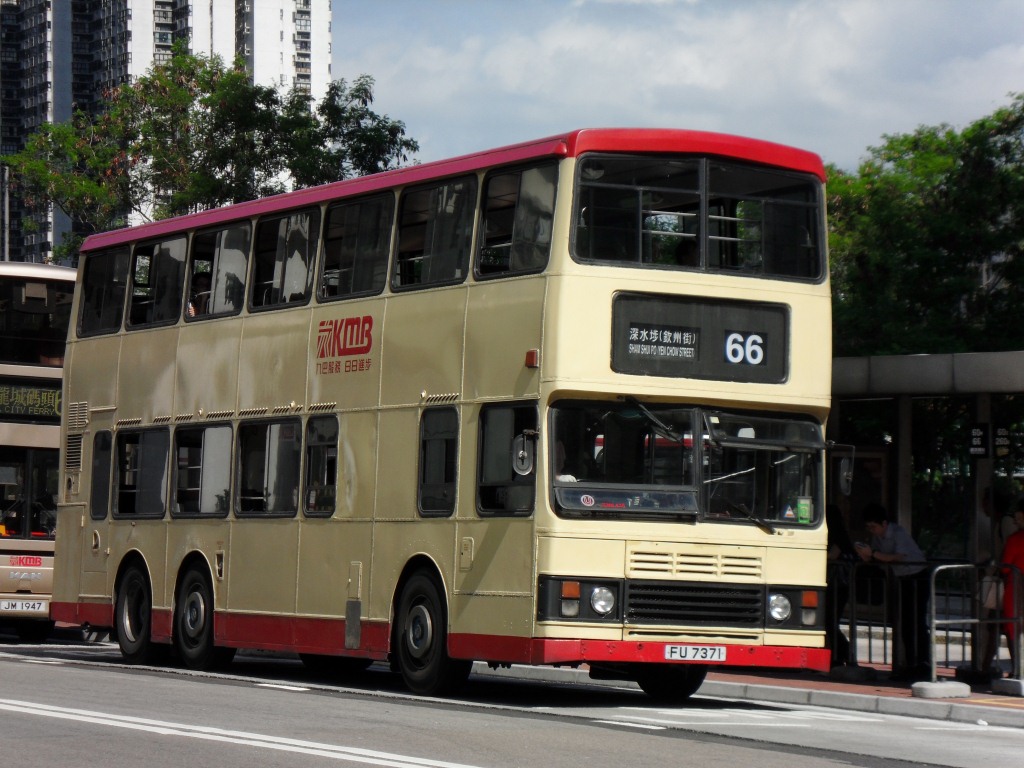 SDC11802.JPG
