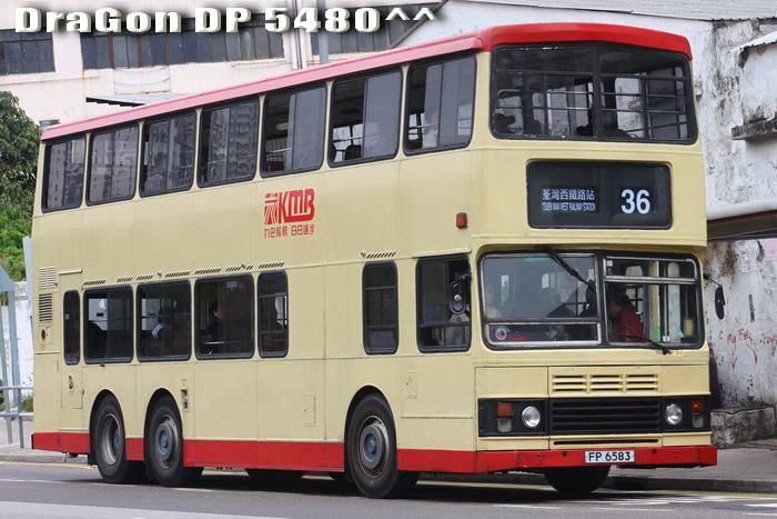 FP6583-36-GGR.jpg