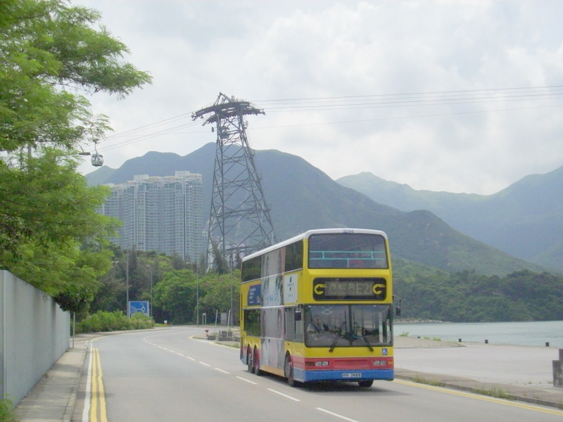 p8640150.jpg