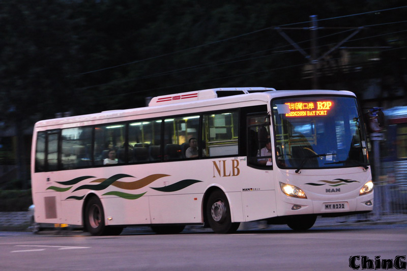 MY8232.jpg