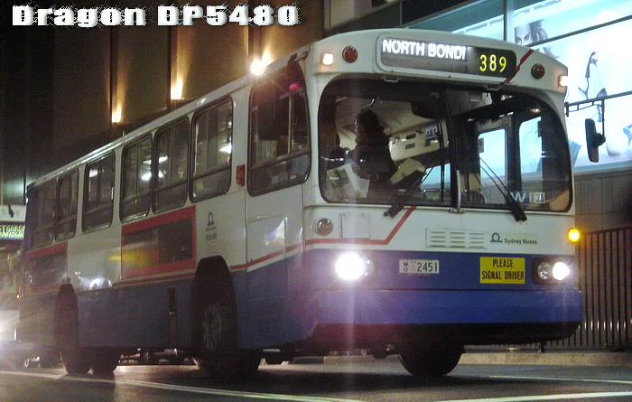 mo2451@389.jpg