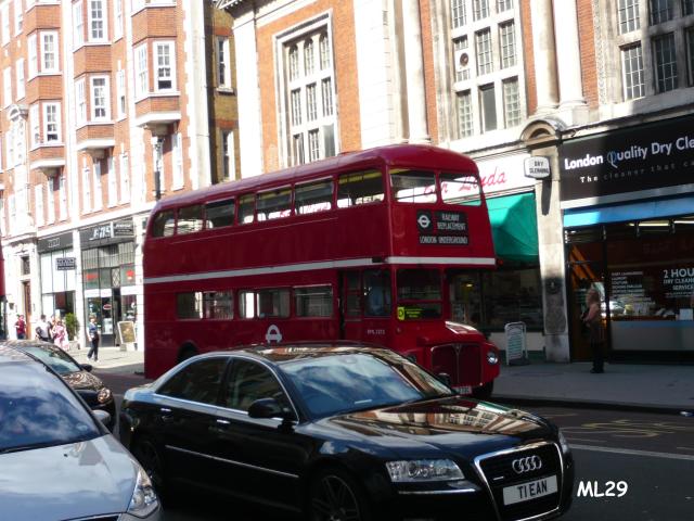RML2272_RR.jpg