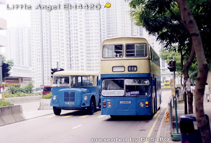 CA8345-LF302+AD4589_84M.jpg