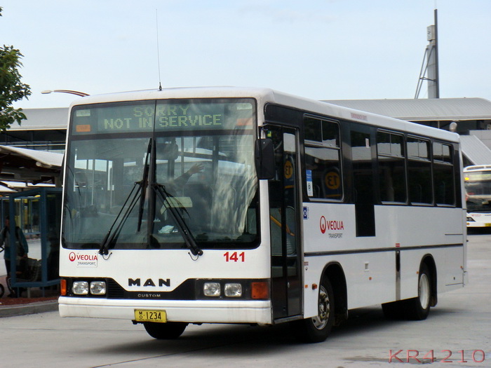 141.jpg
