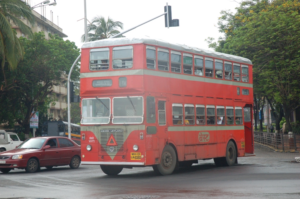 DSC_4946.JPG