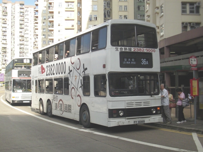 p8620202.jpg