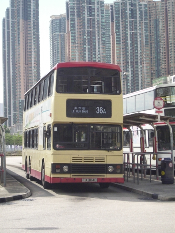 p8620194.jpg