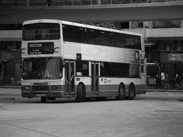 20100708 027.jpg