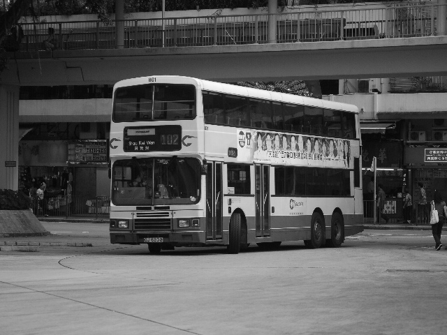 20100708 031.jpg