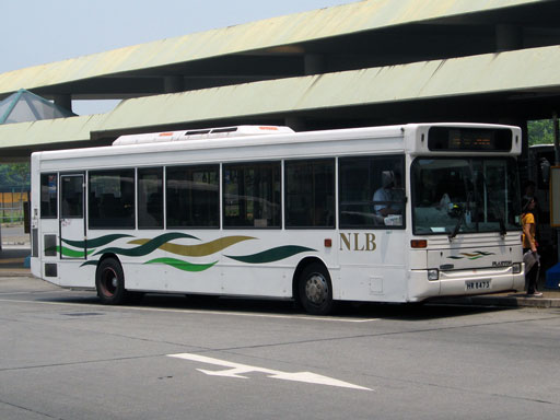 DN31.jpg